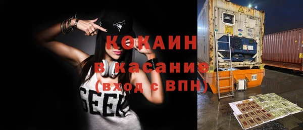 шишки Балахна