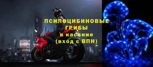 шишки Балахна