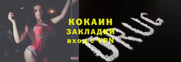 шишки Балахна